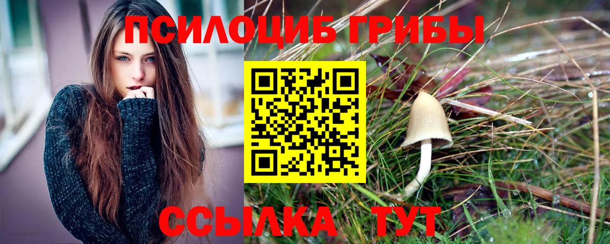Псилоцибиновые грибы прущие грибы Елизово